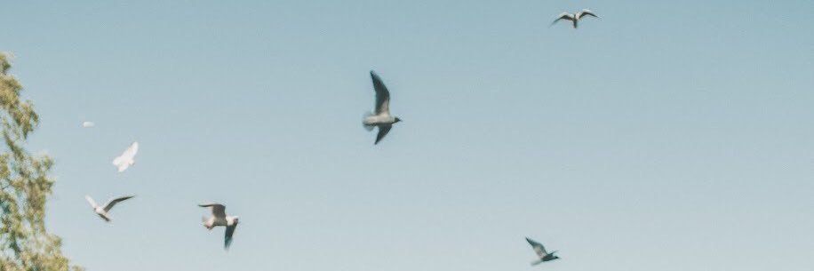khudonya_'s profile banner image