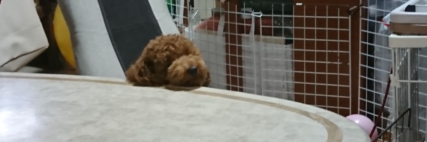 Pooh3TheWinnie's profile banner image