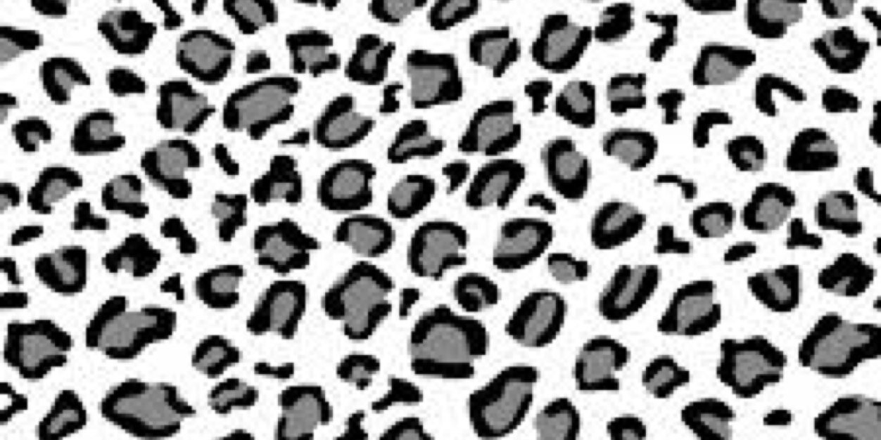SarahLozTaylor's profile banner image