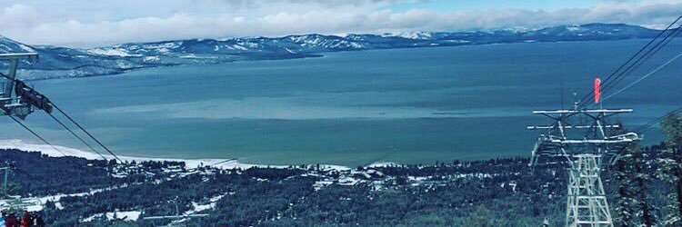 Ali Kellerman banner