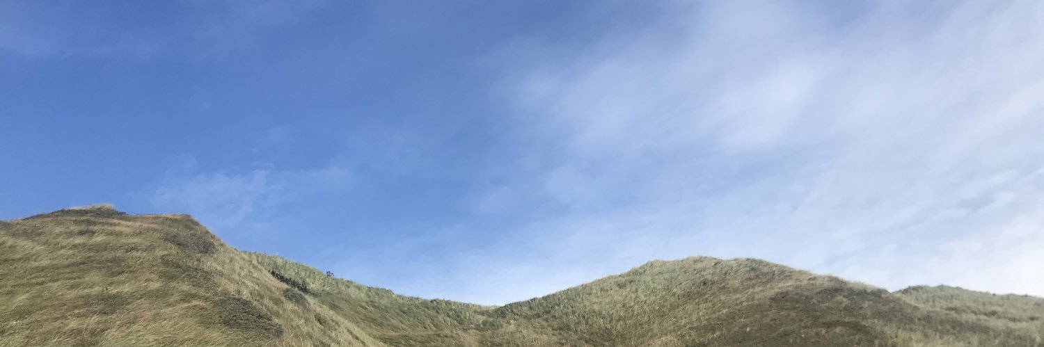 Helle Damgaard Melin banner