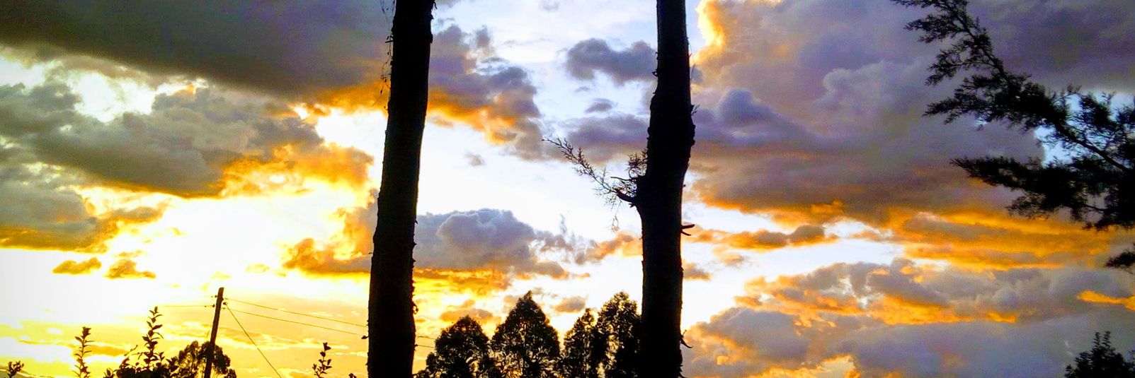 Чарльз Мваура banner