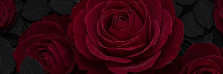 nataliecastoro's profile banner image
