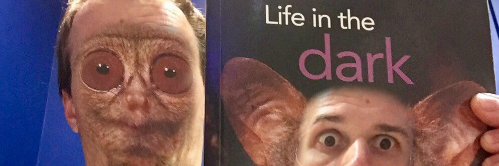 Bartosz Szafranski banner