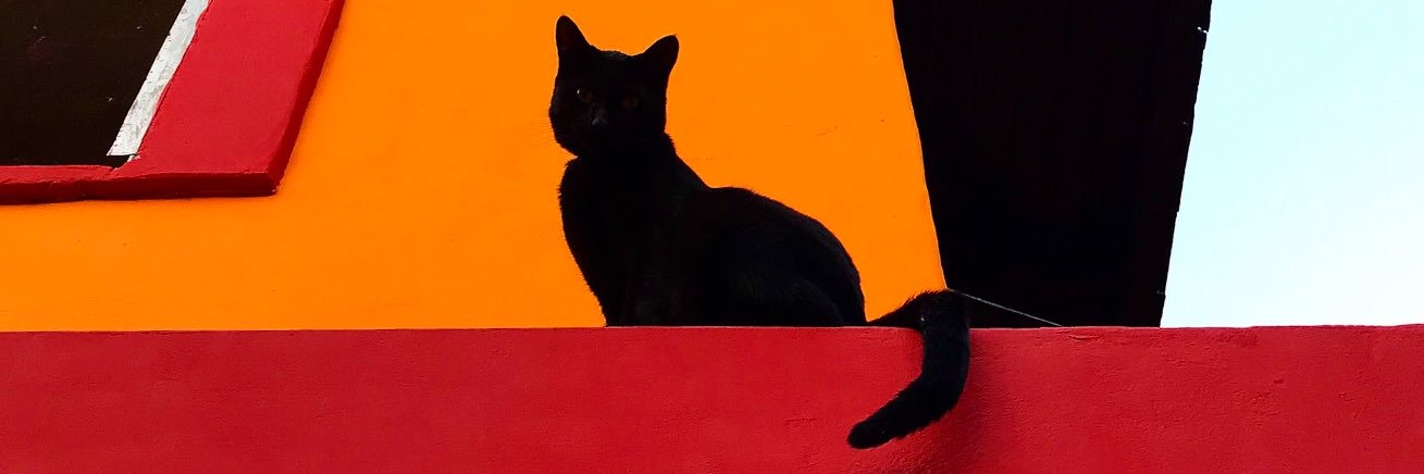 Seebastmont's profile banner image