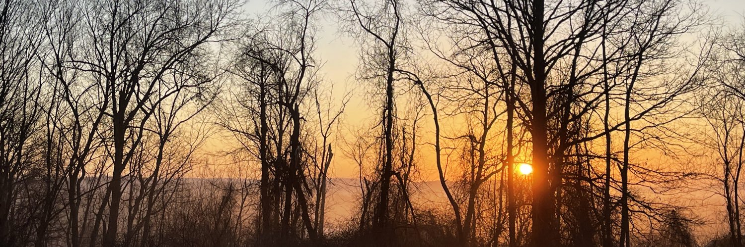 scottaferguson1 banner