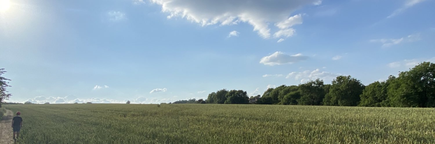 MattMTranter's profile banner image
