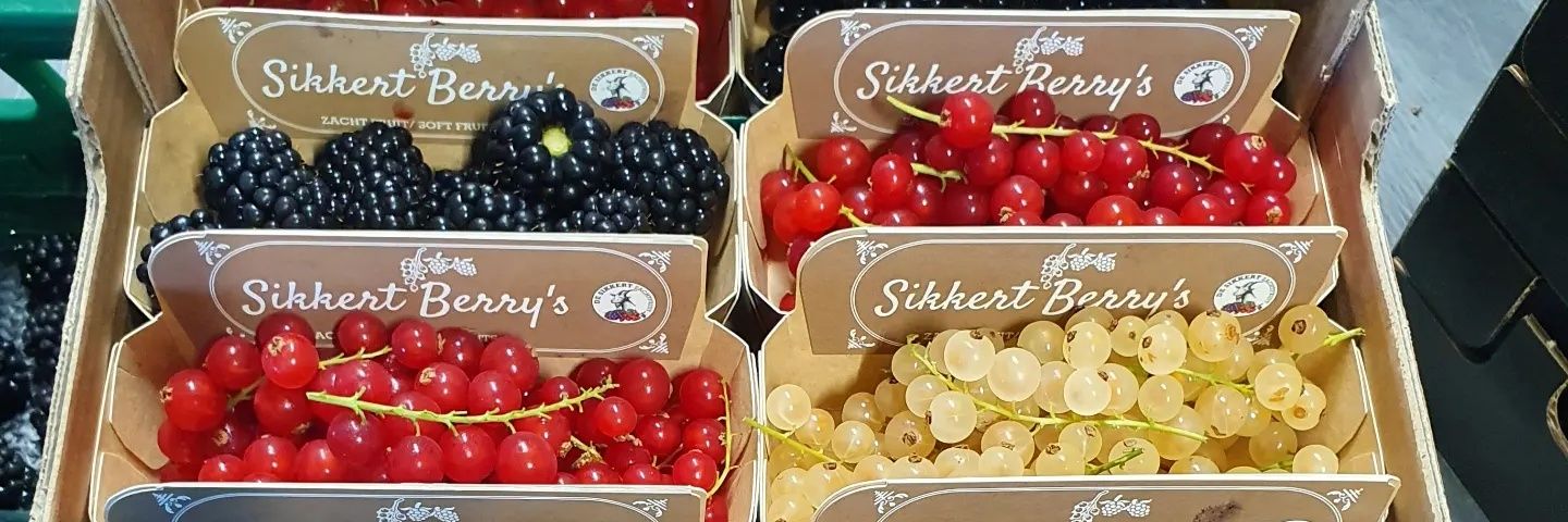 desikkert's profile banner image