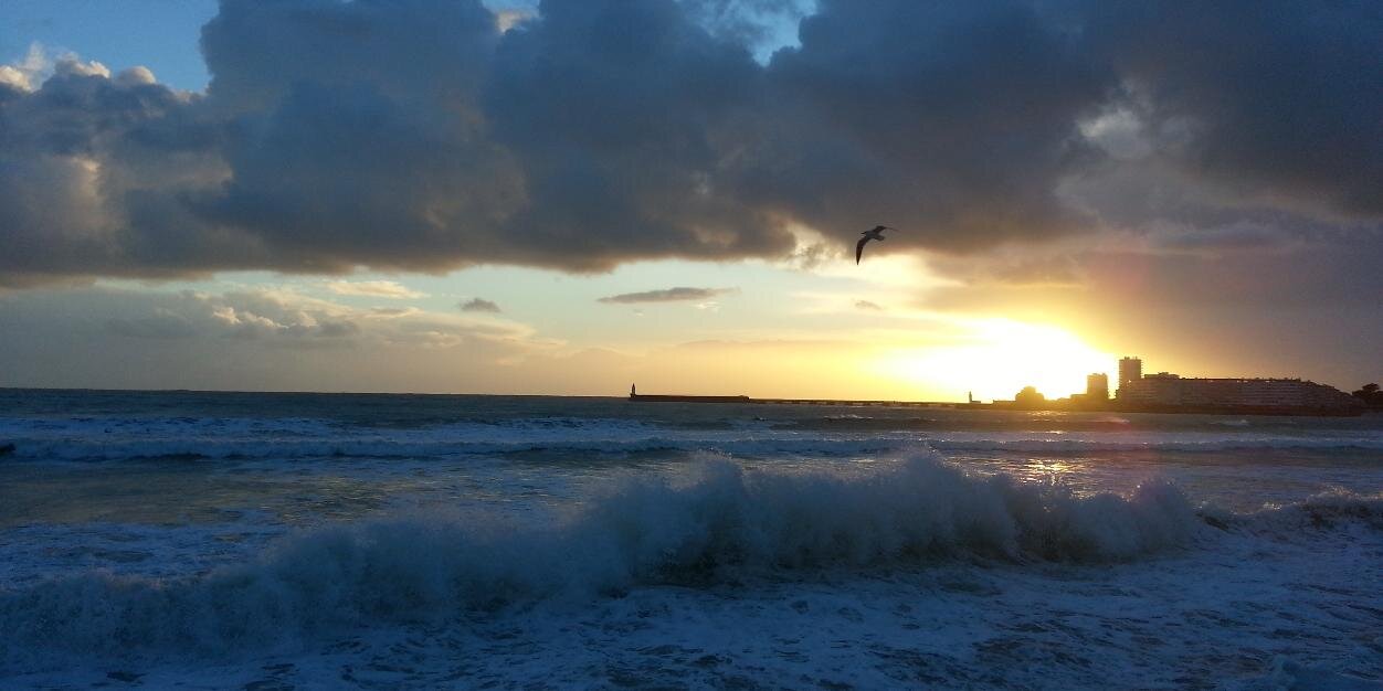 Florent Lebreton banner