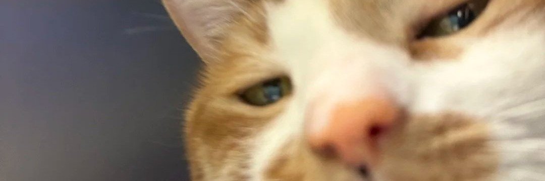 yeocjas's profile banner image