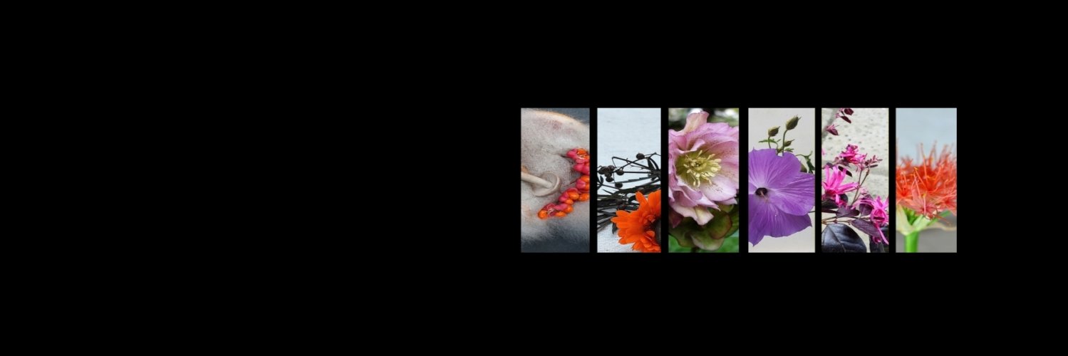 Flora nigra banner