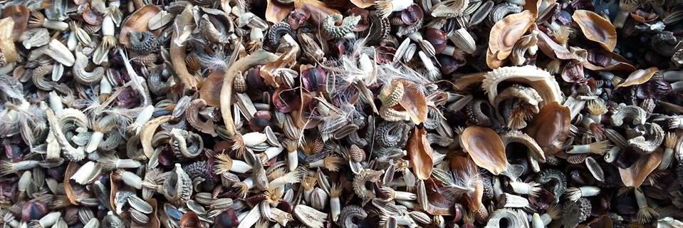 Hawthorn Farm banner