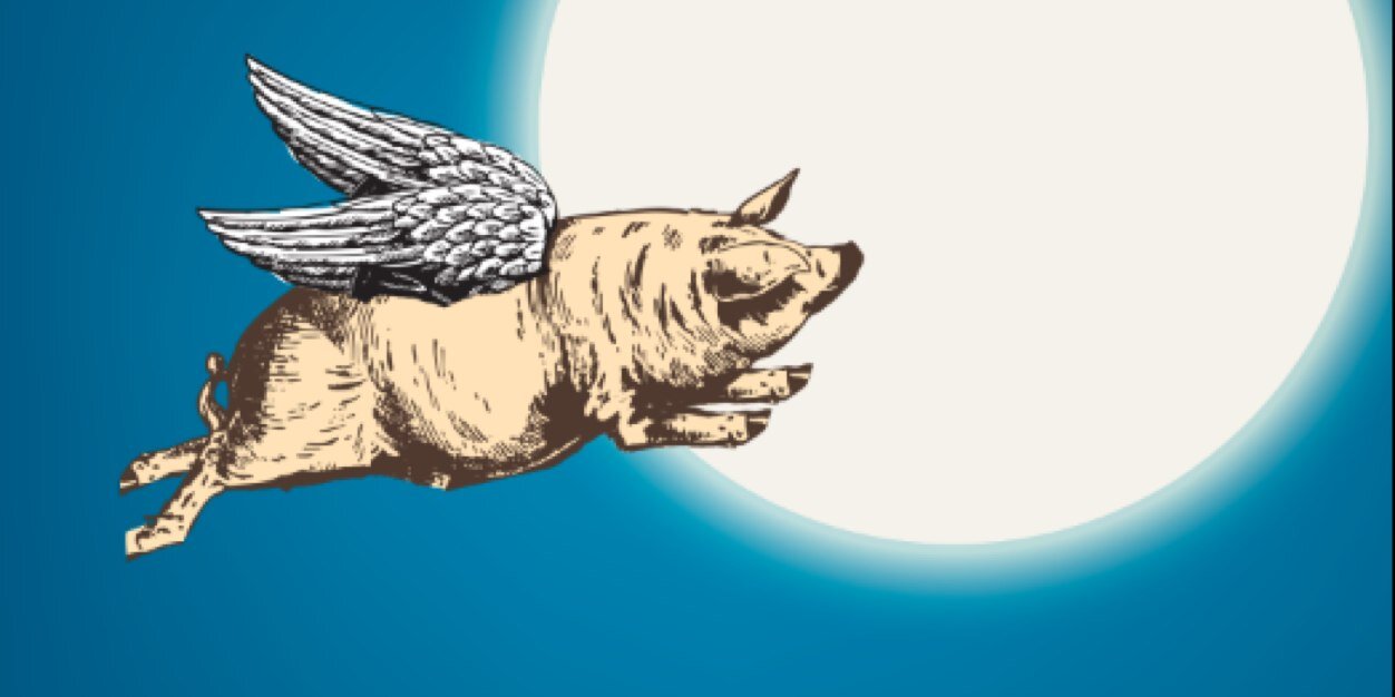 fritehaus1's profile banner image