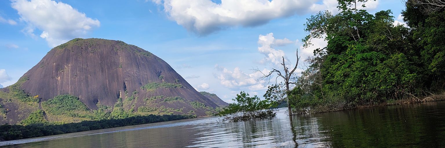 adrigonco's profile banner image