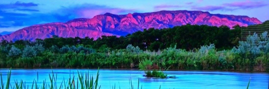 Gary Oppedahl banner