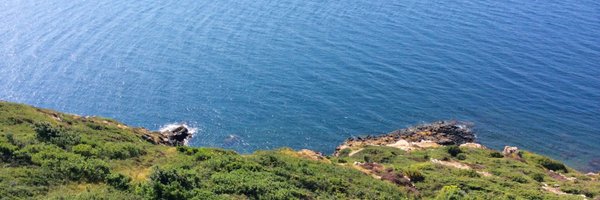 lolpigg Profile Banner