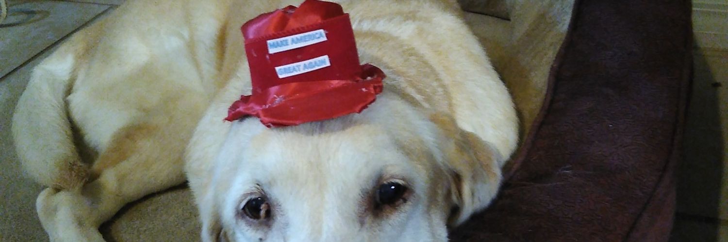 amorcristy2's profile banner image