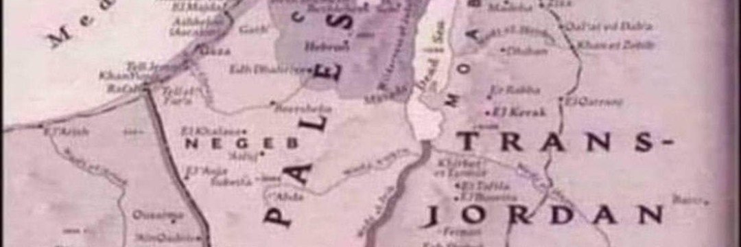 DiegoMuscillo's profile banner image