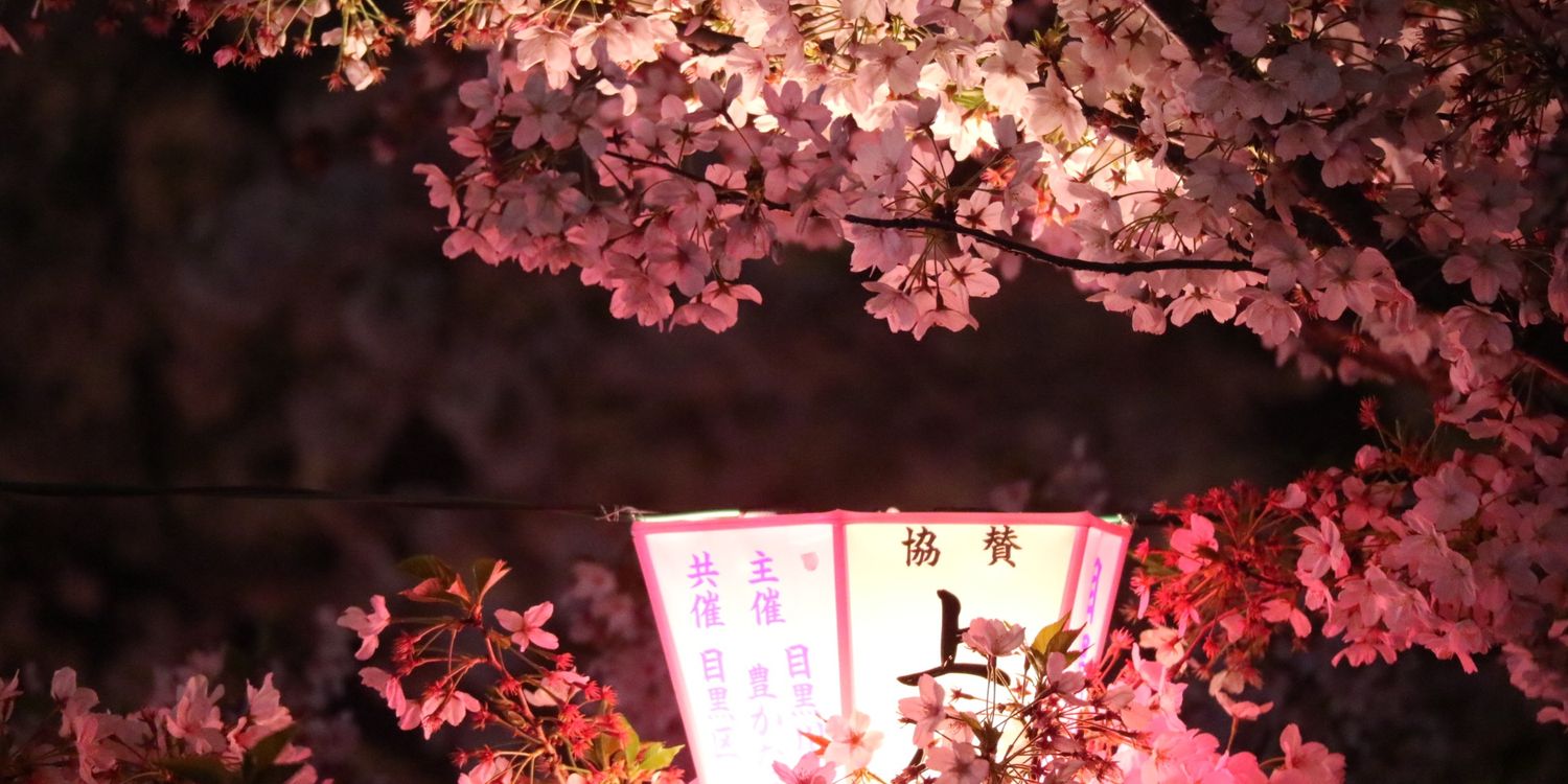 kitimaro1's profile banner image