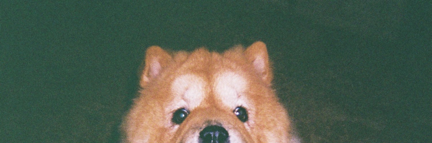 budsabarr's profile banner image