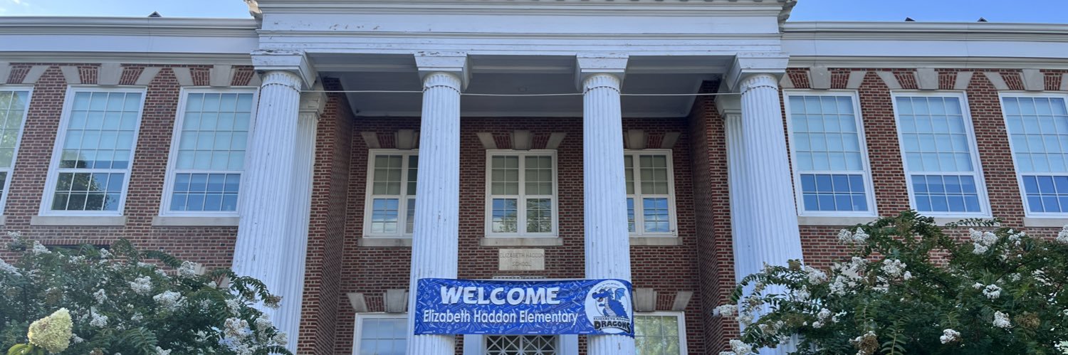 Lizzy Haddon School banner