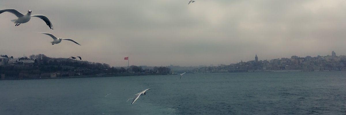 Al_Cglyn's profile banner image