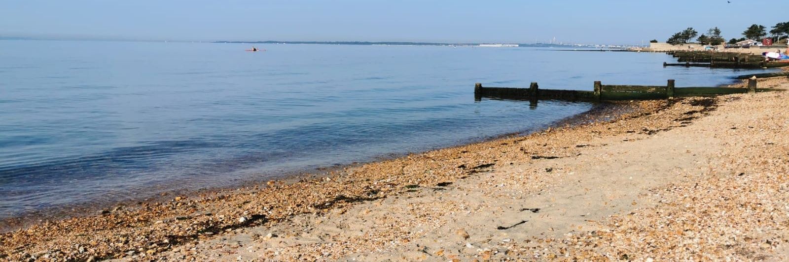 Clare Roberts banner