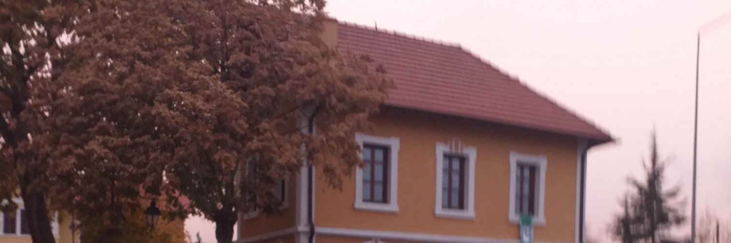 byzerdgdu's profile banner image