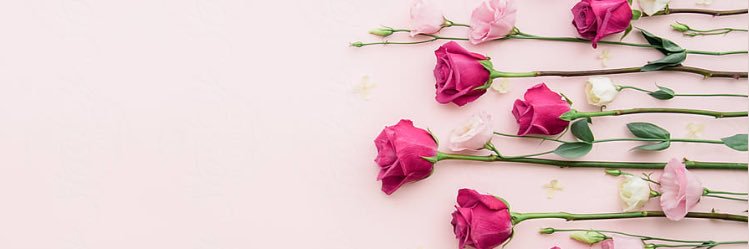 Yasssy213's profile banner image