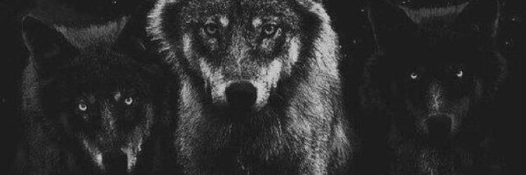 gavindins's profile banner image