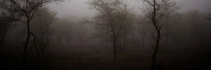 amulvyo's profile banner image