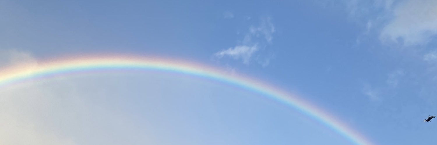 Madisoncocker's profile banner image