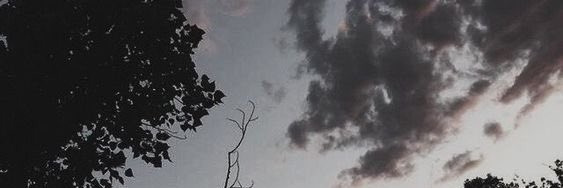 llo_ll's profile banner image