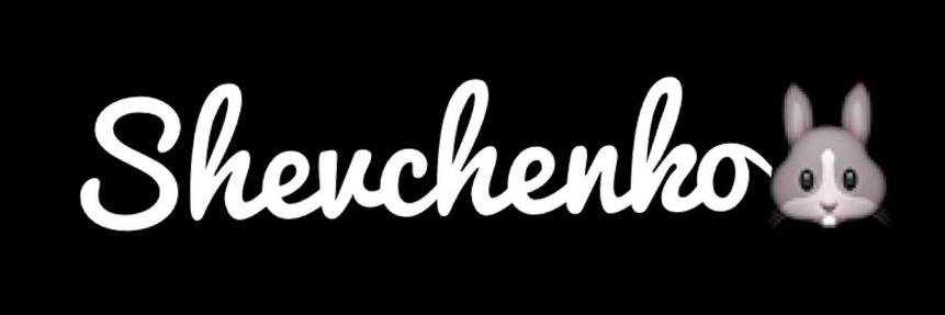 shevchenko__17's profile banner image