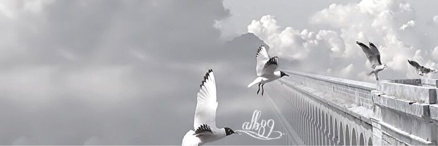 ddqdd's profile banner image