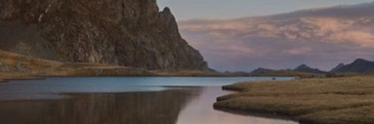 José Romero Font banner