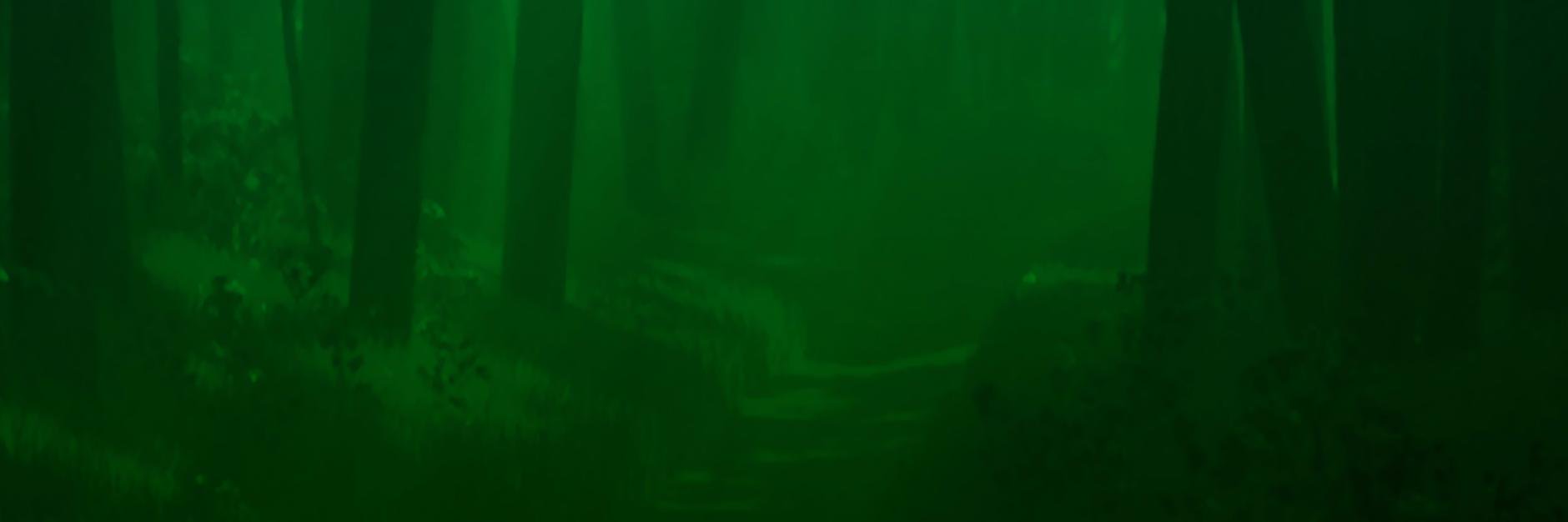 MacaelaReeves's profile banner image