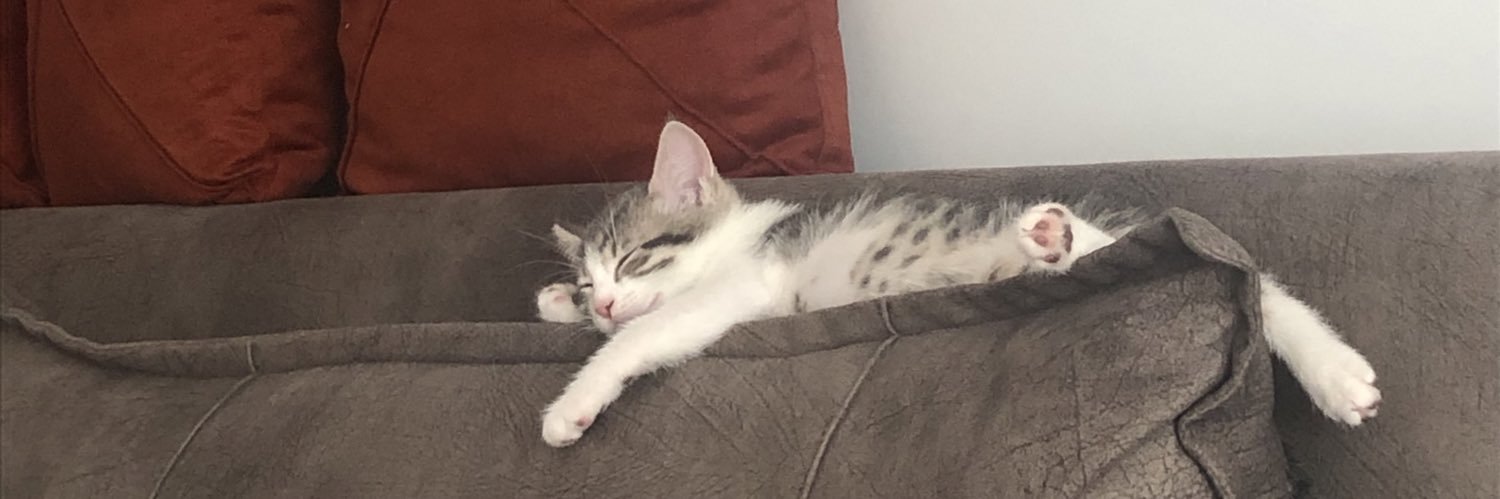 elliifaktas's profile banner image