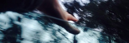 palvinsgdr's profile banner image