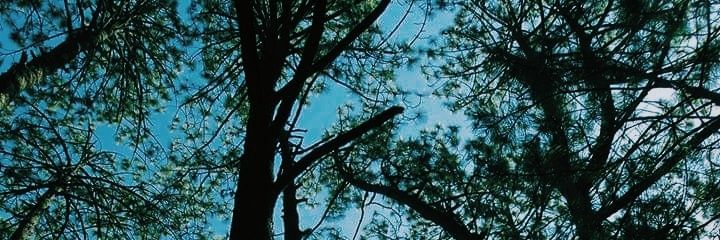 KarlyTejeda's profile banner image