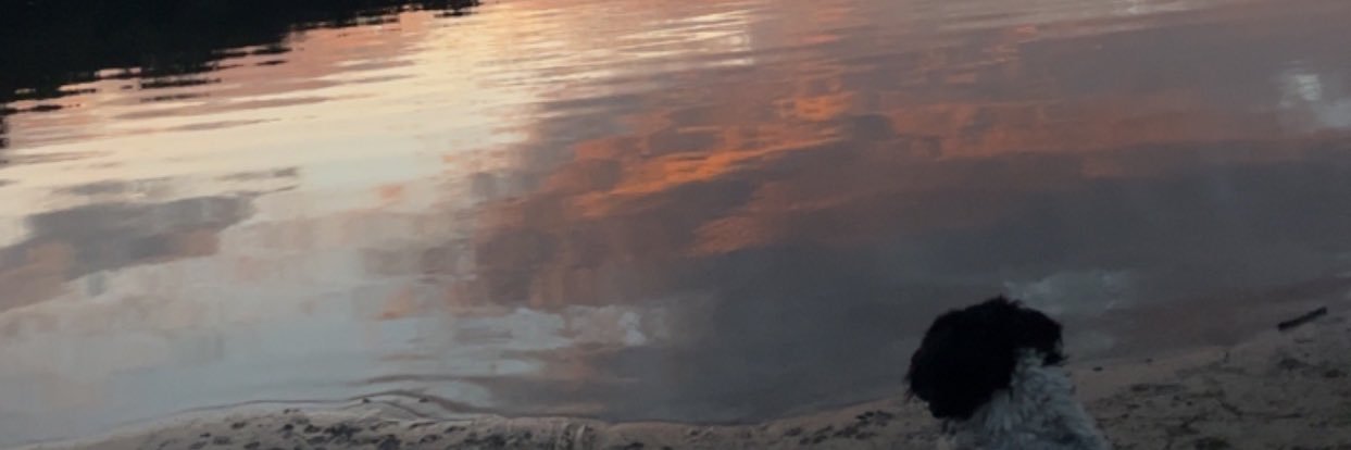 Meine banner