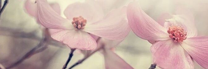 Wilma_092's profile banner image