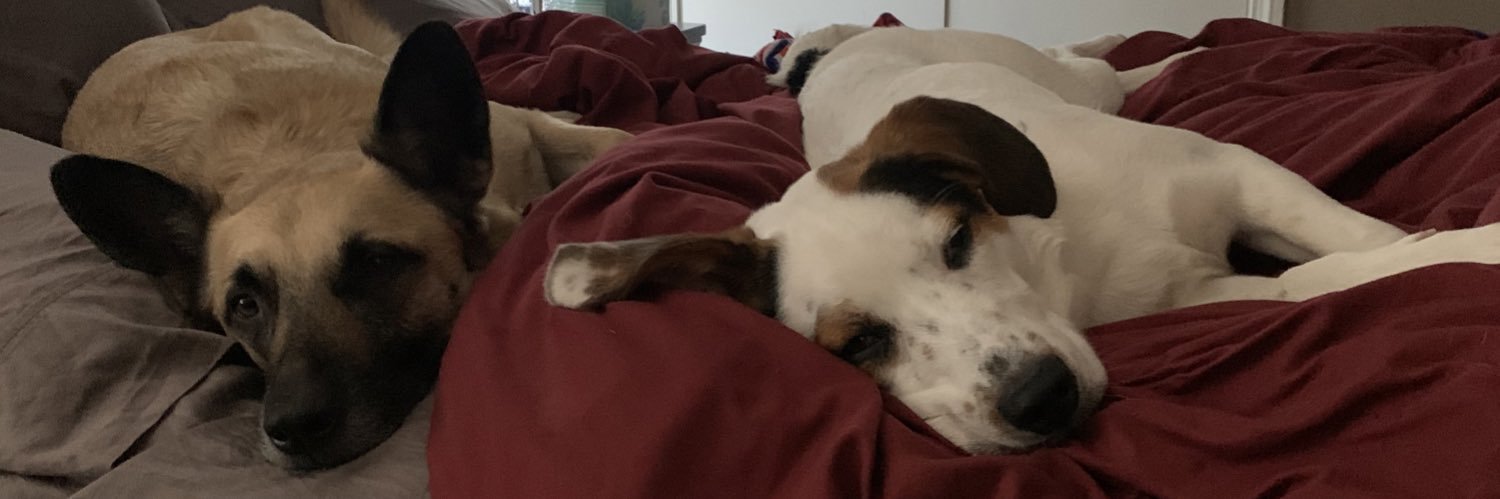 emhodge11's profile banner image