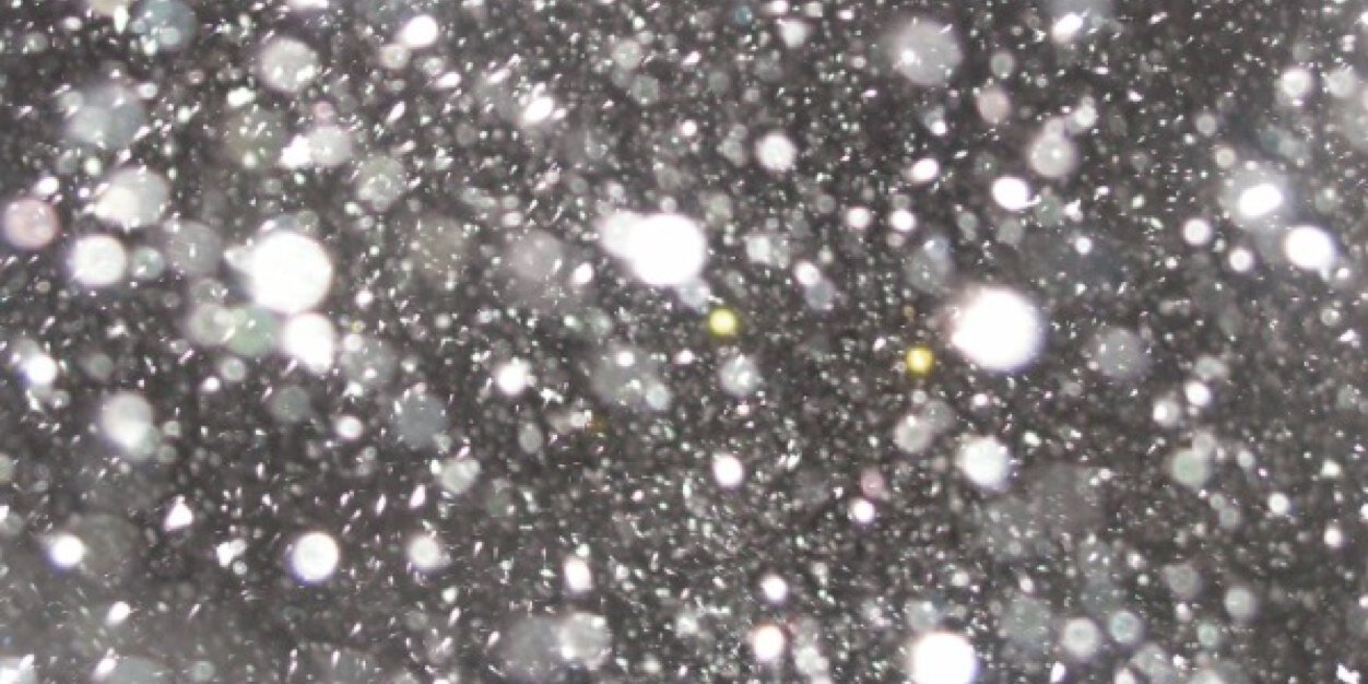 bitch_harry's profile banner image