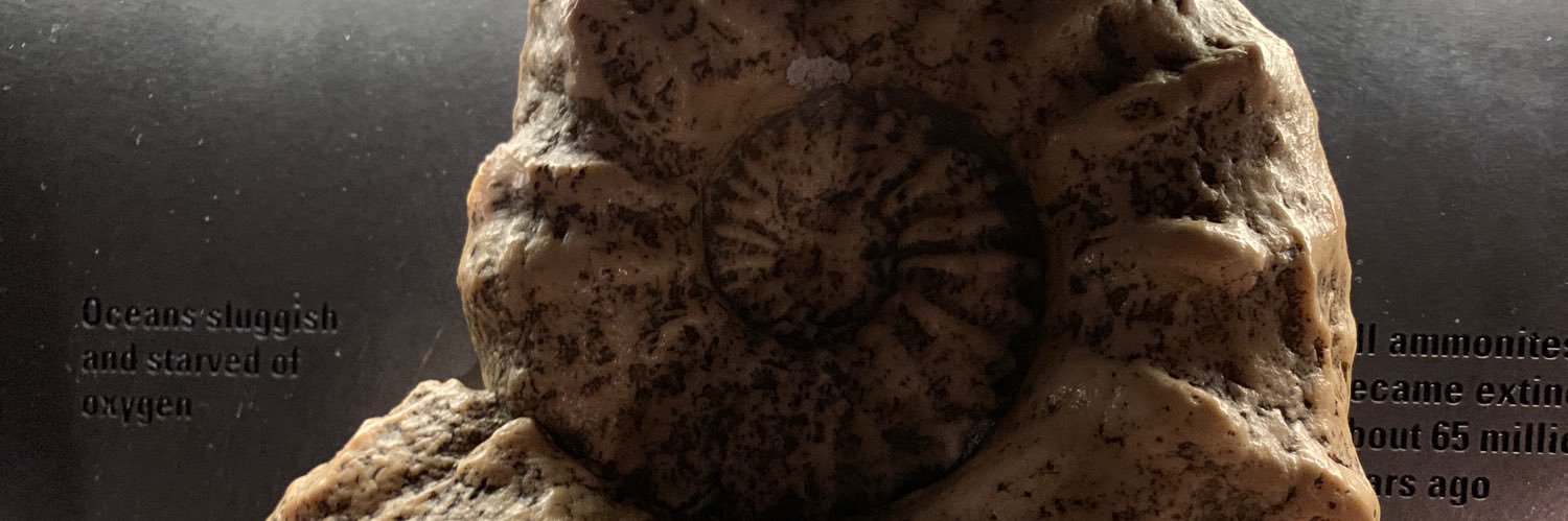MWildeMaths's profile banner image