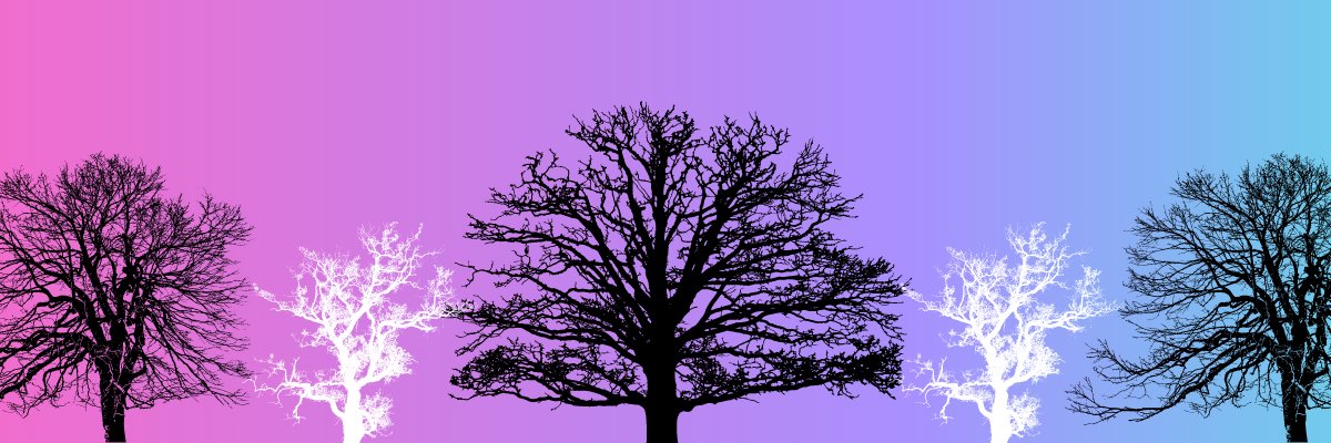 arishaykh's profile banner image