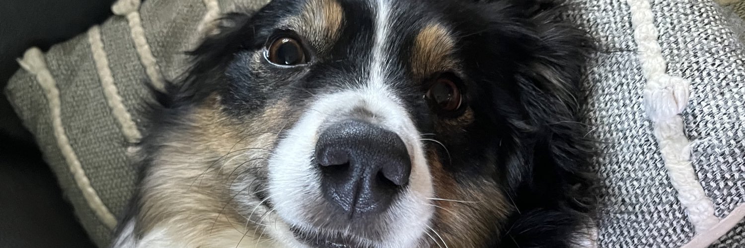 lexaylu's profile banner image