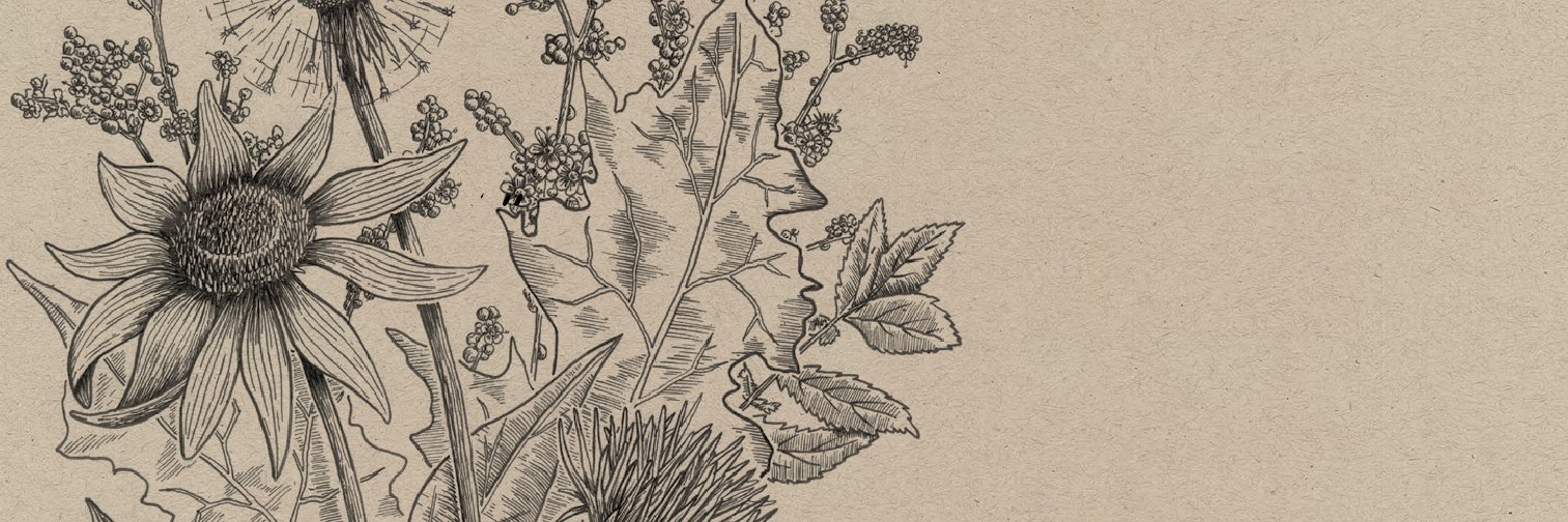 herbalhealingAB's profile banner image