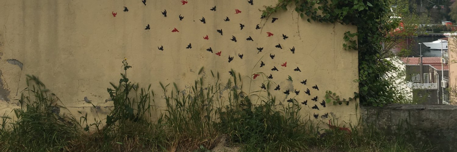 Zeynep Bilginsoy banner