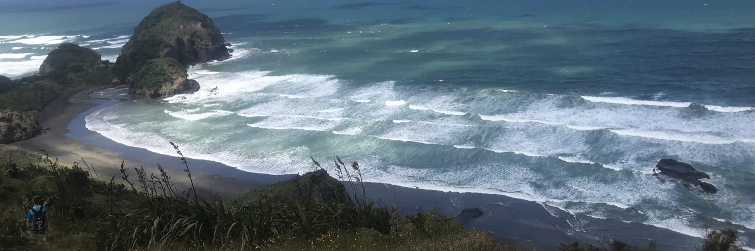 Shane Knowles banner